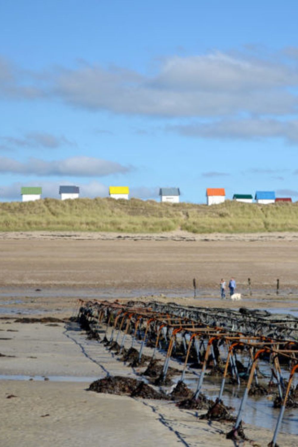 domaine-utah-beach-alentours (4)