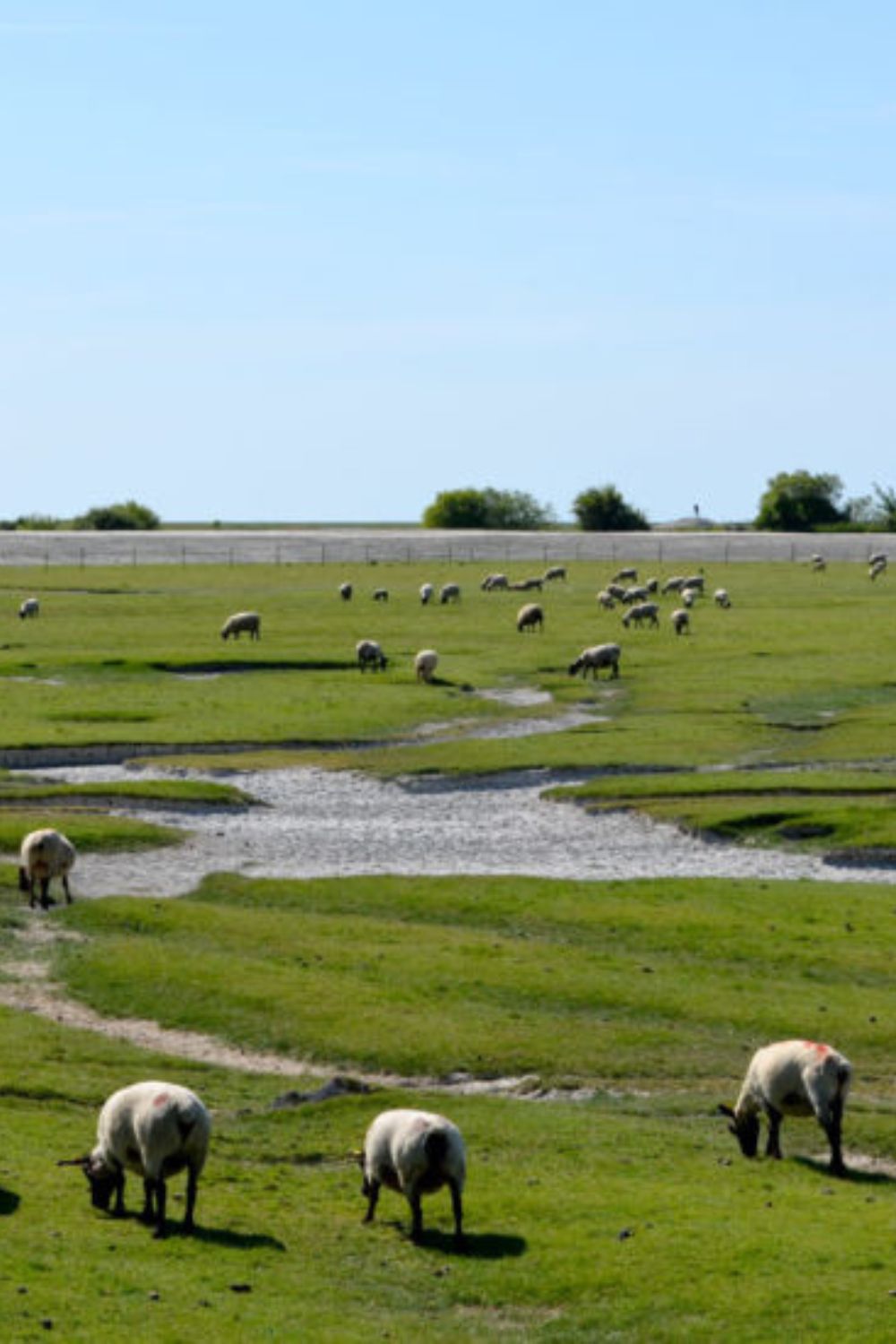 domaine-utah-beach-alentours (5)