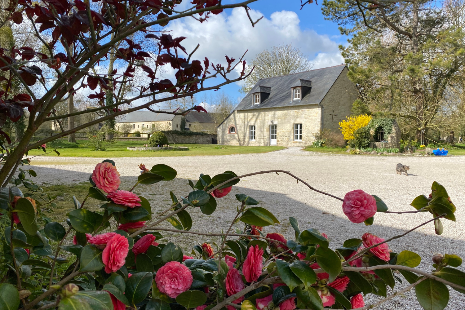 domaine-utah-beach-gite-rosieres (1)