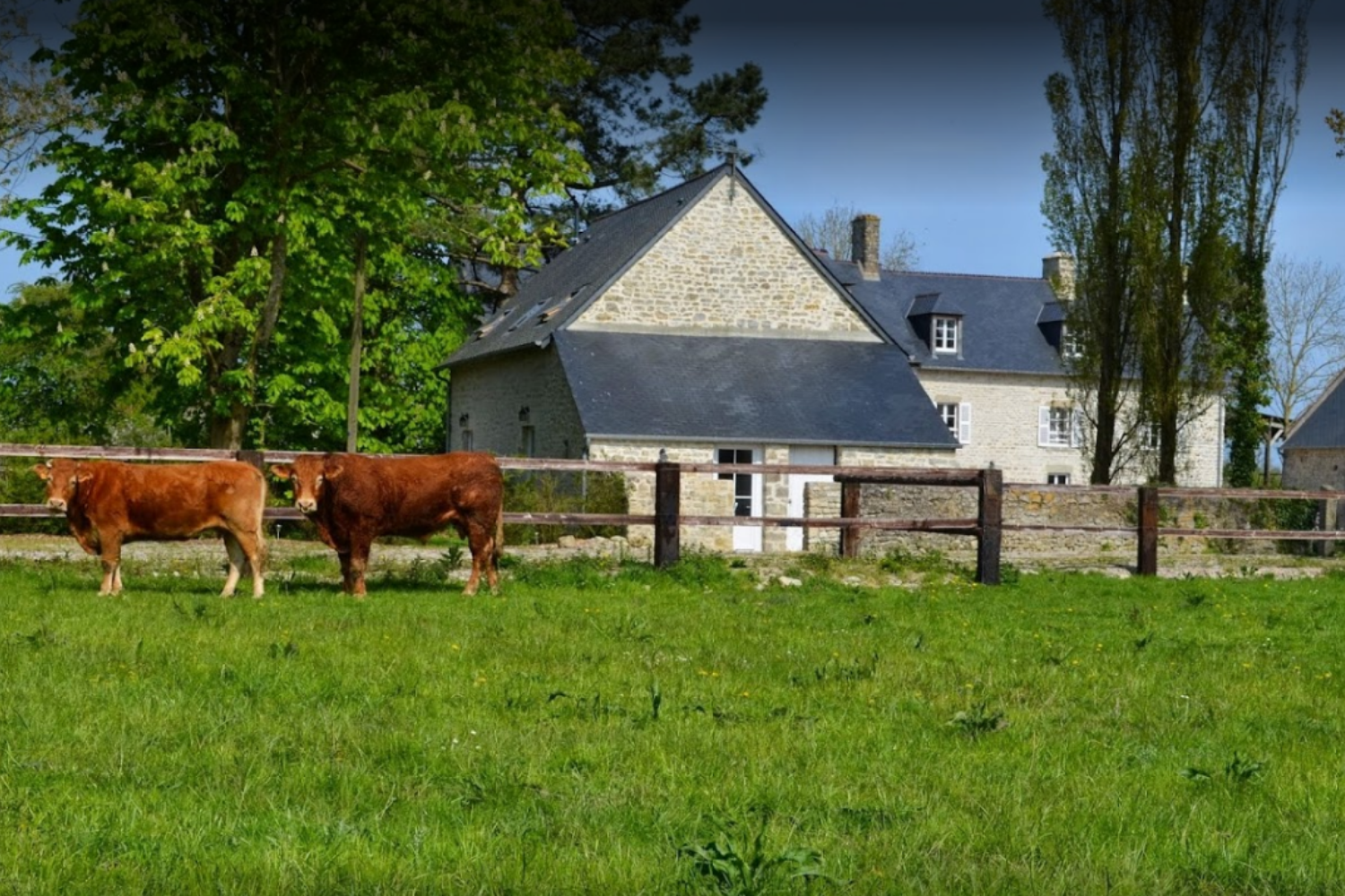 domaine-utah-beach-gite-rosieres (6)