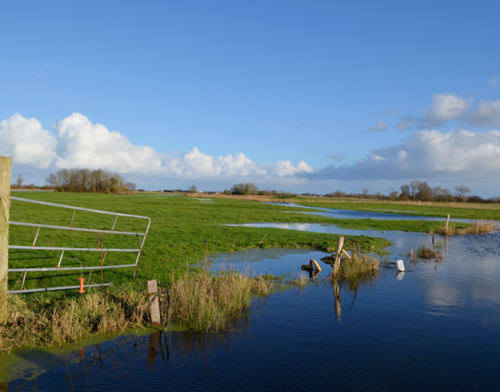 alentour-course-marais-700x550