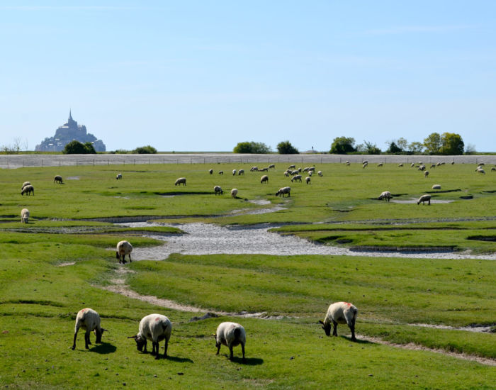 alentour-mont-saint-michel-B-700x550