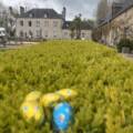 Pâques, la chasse aux œufs au Domaine